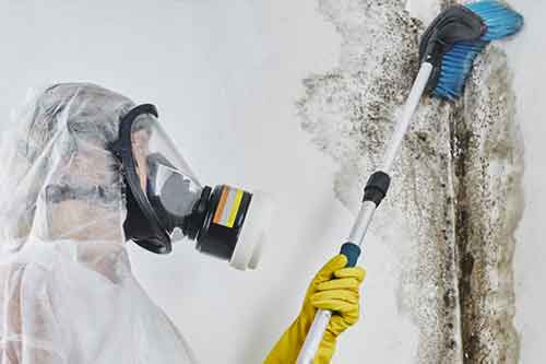 mold remediation dry out restorations