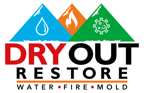 Dry Out Restore